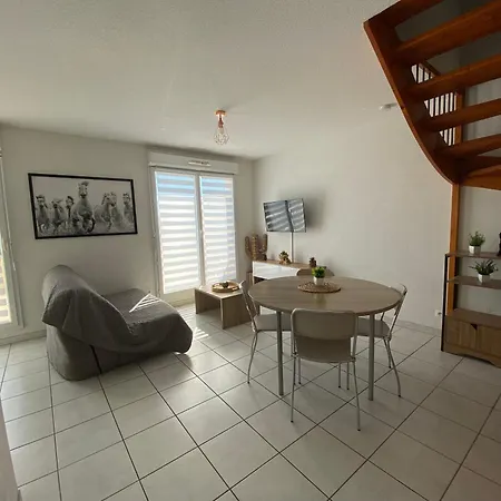Daire Sol-y-days Cap Camargue, Grand Duplex 6 Couchages De Tourisme Avec Piscine