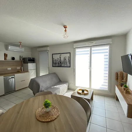 Sol-y-days Cap Camargue, Grand Duplex 6 Couchages De Tourisme Avec Piscine