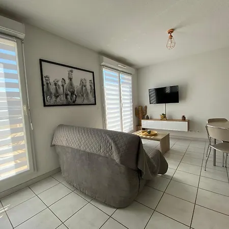 Sol-y-days Cap Camargue, Grand Duplex 6 Couchages De Tourisme Avec Piscine Le Grau-du-Roi