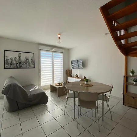 Daire Sol-y-days Cap Camargue, Grand Duplex 6 Couchages De Tourisme Avec Piscine *