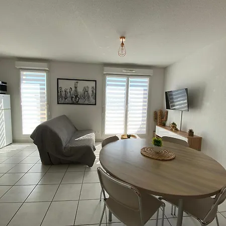 Sol-y-days Cap Camargue, Grand Duplex 6 Couchages De Tourisme Avec Piscine
